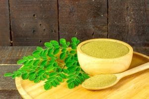 Moringa Plant Benefits Your Body and Mind