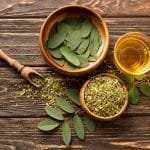 Top 5 Moringa Leaf Benefits for Overall Health
