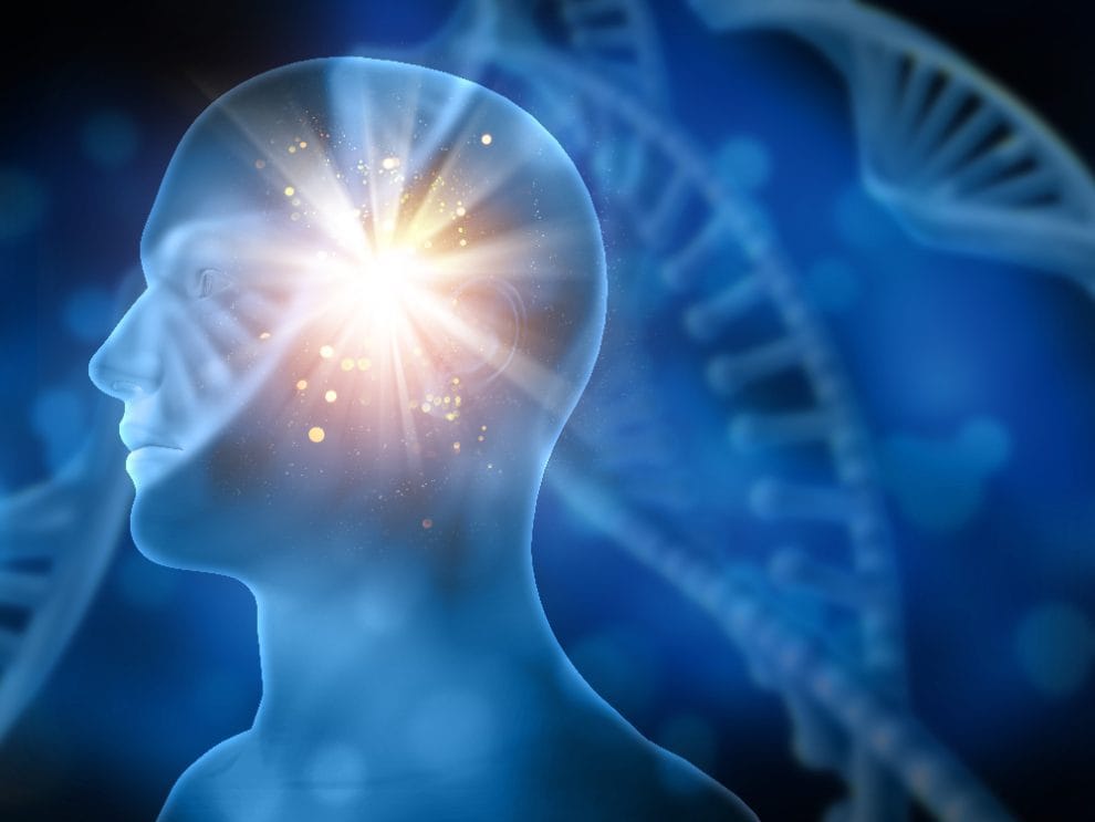 Strengthen Brain Function